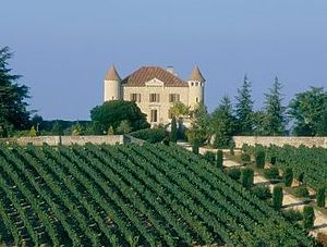 Chateau chambert vineyard.jpg