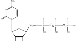 Figure 1 : structure de la cytidine triphosphate.