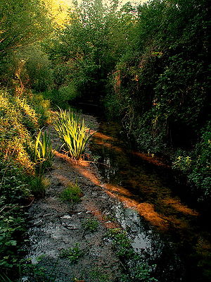 Le Dévorah en fin d'après midi à Bourg-en-Bresse