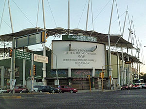 Estadio Lic Eduardo Vasconcelos.jpg
