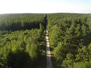 Forêt d'Orléans depuis Les Caillettes 01.JPG