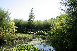 Pièce d'eau des jardins de l'étang de Bambois.