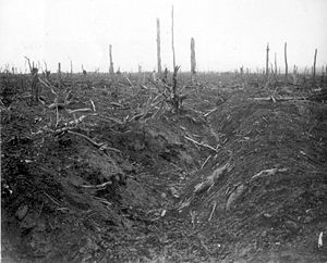 German trench Delville Wood September 1916.jpg