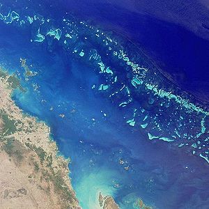 Image satellite d'une partie de la grande barrière de corail (NASA)