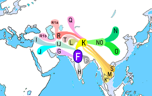 Haplogroup F (Y-DNA).PNG
