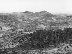 Hill 317 Korea 1952 (AWM 042315).jpg