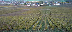 La Tâche from above.jpg