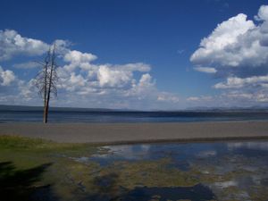 Lac Yellowstone a Grant Village.jpg