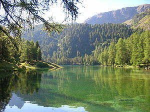 Lac de Palpuogna Grisons Suisse.JPG