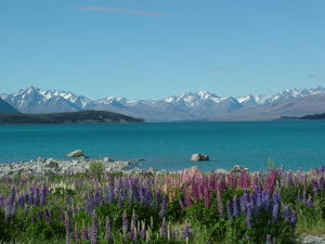 Lake Tekapo.JPG