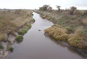 Mustinka River.jpg