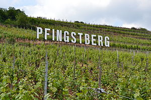 Pfingstberg1.JPG