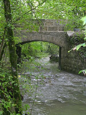 Pont Essertines.jpg