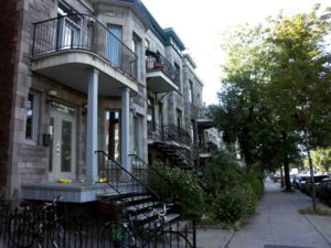 rue Saint-Denis dans Rosemont Localisation de Rosemont–La Petite-Patrie dans Montréal