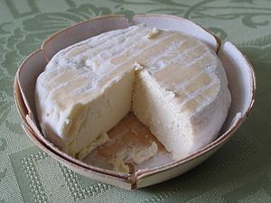 Saint-marcellin (fromage français).jpg