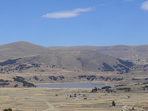 Vacas, Laguna Qullpaqucha.JPG