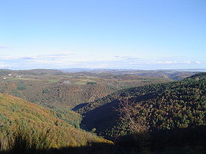 La vallée du Lignon à Saint-Georges-en-Couzan