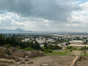 Carthage vue depuis la colline de Byrsa