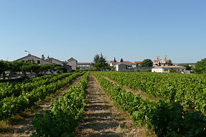 Vue d'ensemble d'Orgnac-l'Aven.JPG