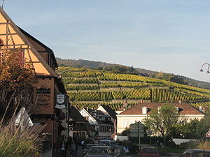 Vue du centre-ville de Ribeauvillé - Haut-Rhin.JPG