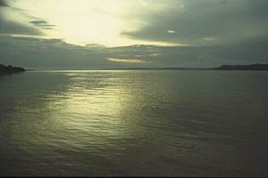Vue du Rio Xingu