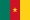 Drapeau : Cameroun