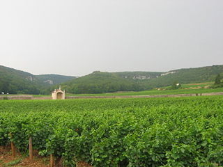 Vineyards Combe Lavaux.jpg