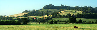 photographie panoramique présentant les pâturage au pied de la colline de Bassebourg