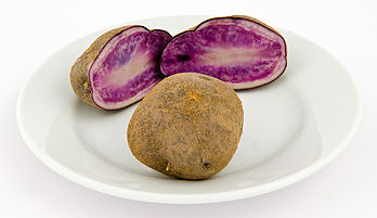 Pomme de terre de variété 'Salad Blue'.  (définition réelle 4 855 × 2 804)