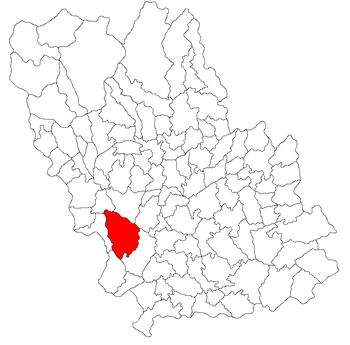 Localisation de Ariceștii Rahtivani
