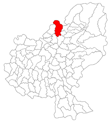 Localisation de Batoș