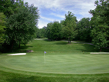 Green with 2 bunkers 2.jpg