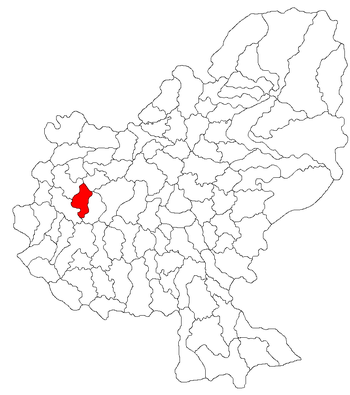 Localisation de Papiu Ilarian