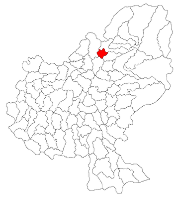 Localisation de Suseni