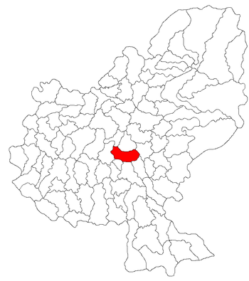 Localisation de Târgu Mureş