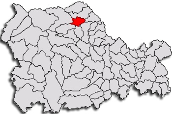 Localisation de Târgu Neamț