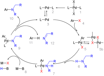 Mécanisme réactionnel de la réaction de Buchwald-Hartwig.