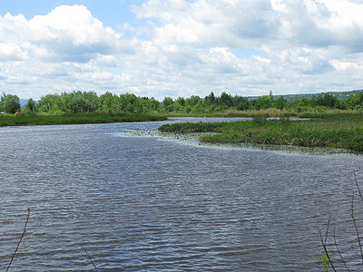 Cherry River in Magog.JPG