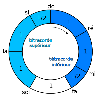 Représentation cyclique de l'échelle diatonique