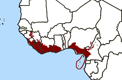 Guinean hotspot.png