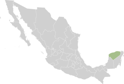 État du Yucatan
