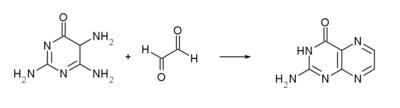 Pterin synthesis 02.png