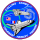 STS-93 patch.svg
