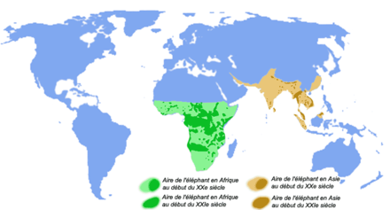 Carte du monde montrant la réduction des populations d'éléphants entre le début du XXe siècle et le début du XXIe : en vert l'aire de répartition de l'éléphant d'Afrique (plus de la moitié inférieure du continent africain au départ, taches restantes couvrant en gros moins d'1/3) et en ocre l'aire de l'éléphant d'Asie (toutes l'Inde et une bonne partie de l'Asie du sud au départ, quelques rares taches restantes)