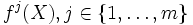 f^j(X), j \in \{1, \dots, m\}