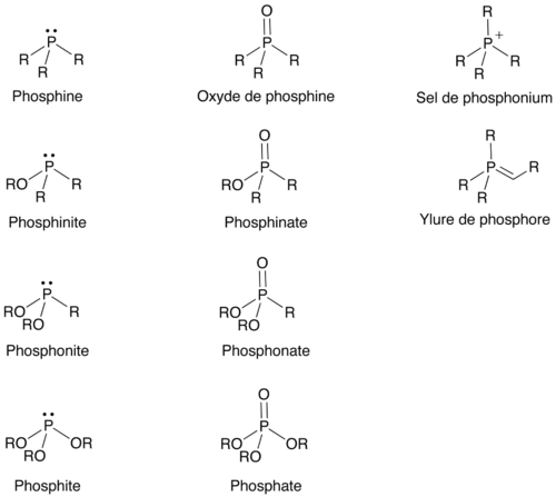 Les différentes classes de composés organophosphorés