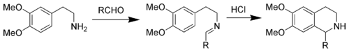 La synthèse de Pictet-Spengler des tétrahydroisoquinoléines.