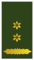 Nl-landmacht-luitenant kolonel.svg