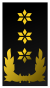 Nl-marechausee-luitenant generaal.svg