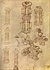 Pisanello, disegni, louvre 2295 r.jpg